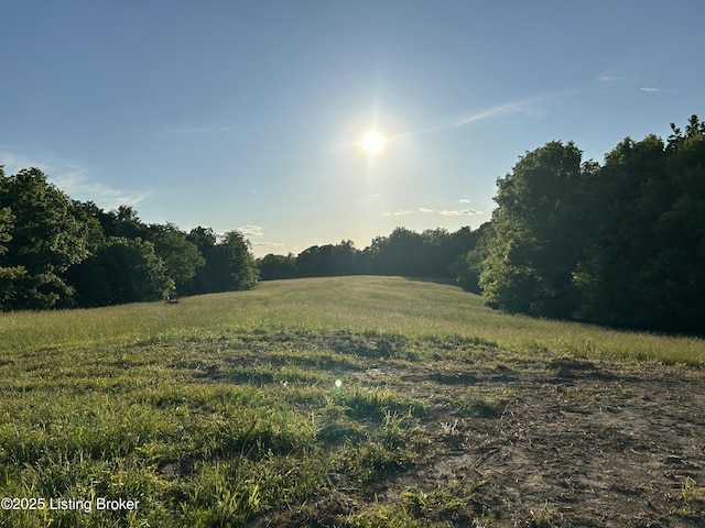 3401 Cat Ridge Rd, Waddy, KY 40076 - photo 1