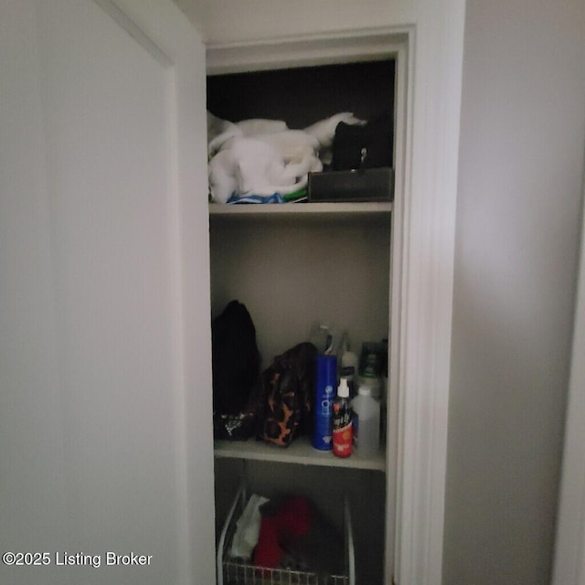 view of closet