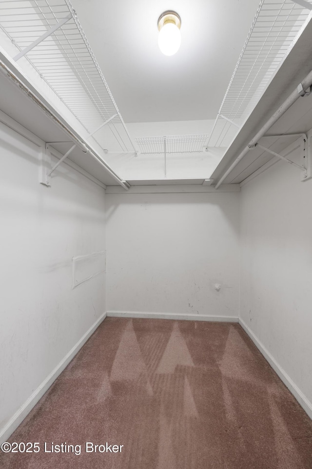 12100 Edenwood Dr, Louisville, KY 40243 - walk in closet with carpet