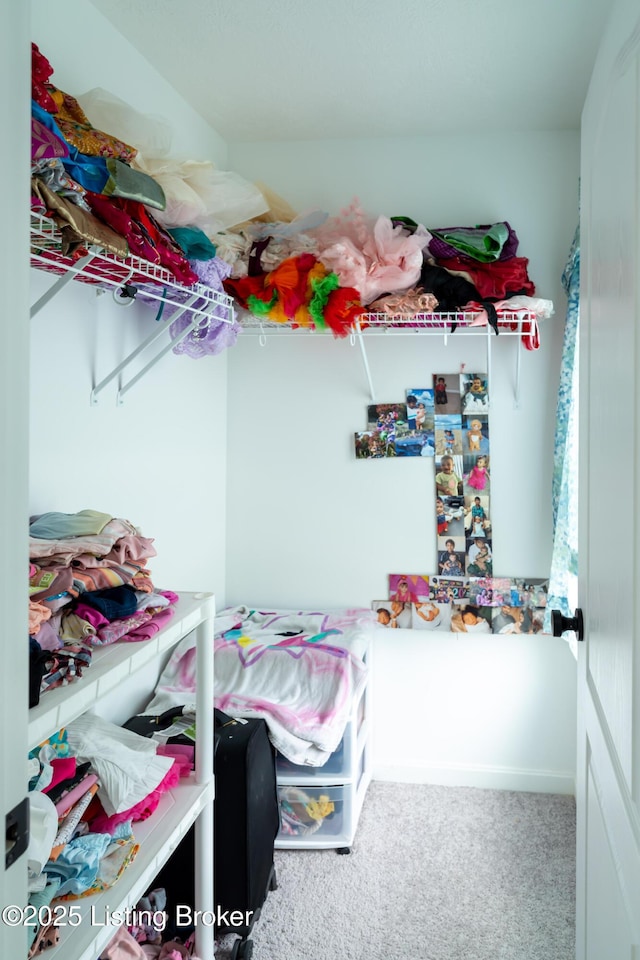 15803 Stonehouse Ct, Louisville, KY 40245 - walk in closet with carpet