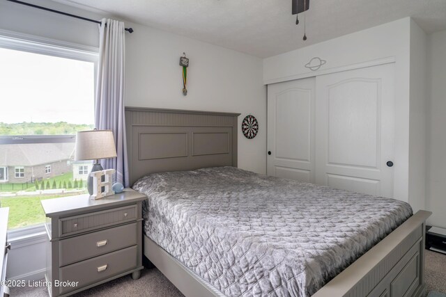 15803 Stonehouse Ct, Louisville, KY 40245 - carpeted bedroom with a closet and multiple windows