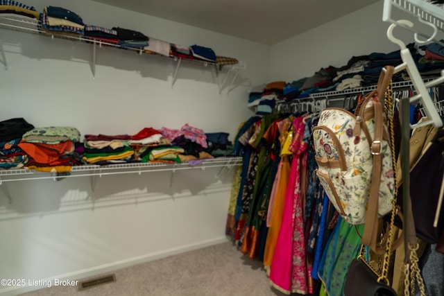 15803 Stonehouse Ct, Louisville, KY 40245 - spacious closet with carpet