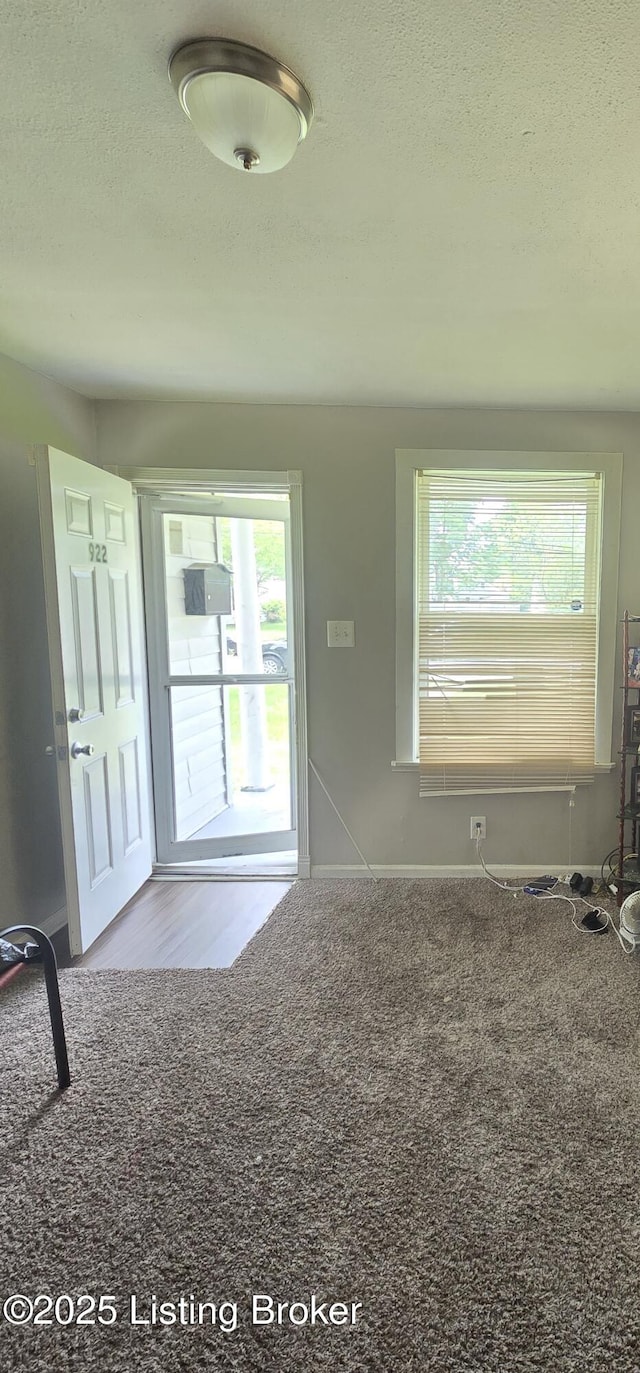922 Camden Ave, Louisville, KY 40215 - photo 10
