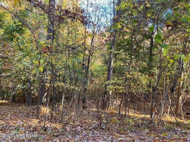 41-4 E Audobon Dr, Shepherdsville, KY 40165