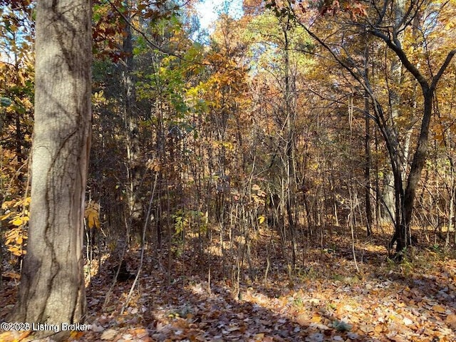 41-4 E Audobon Dr, Shepherdsville, KY 40165