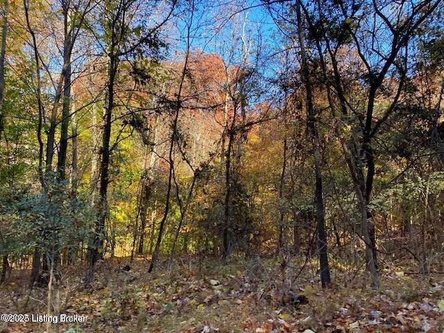 41-4 E Audobon Dr, Shepherdsville, KY 40165