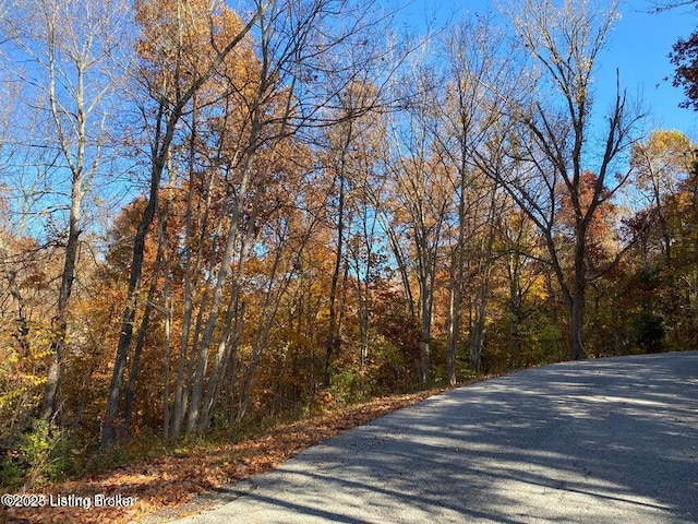 41-4 E Audobon Dr, Shepherdsville, KY 40165