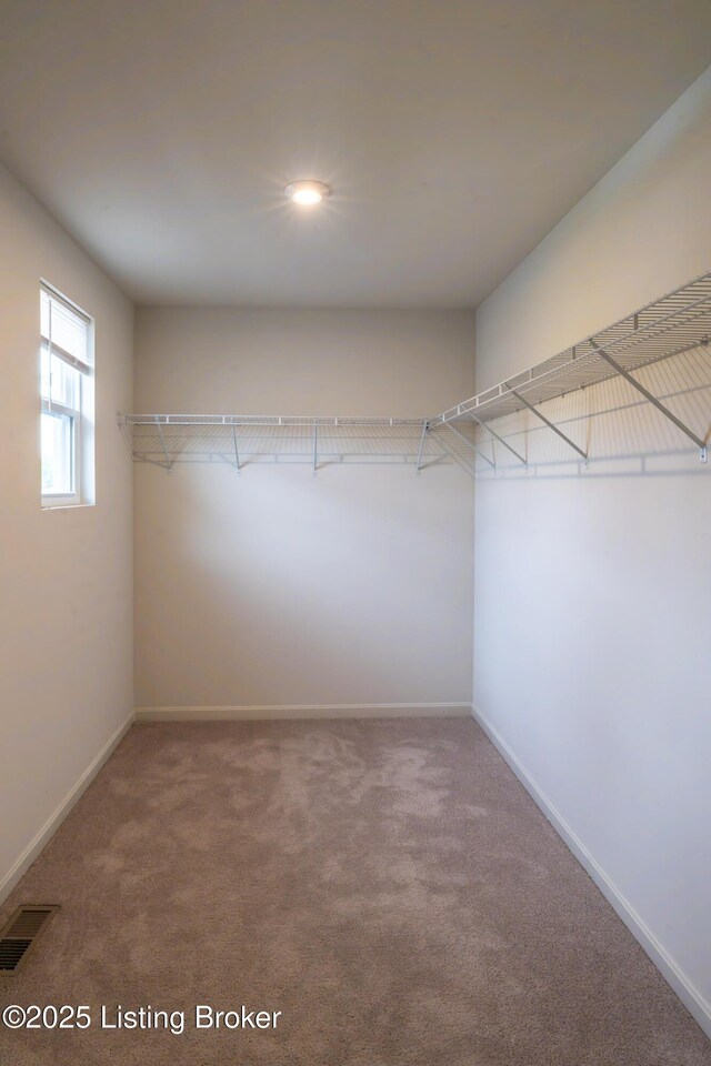 7618 Fair Ln, Louisville, KY 40291 - walk in closet with carpet