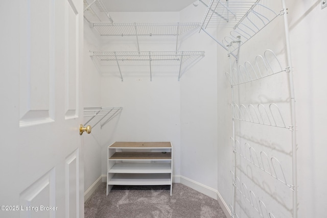 1613 E Crystal Dr, La Grange, KY 40031 - spacious closet with carpet