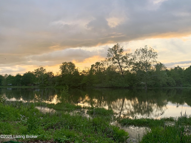1613 E Crystal Dr, La Grange, KY 40031 - water view with a heavily wooded area