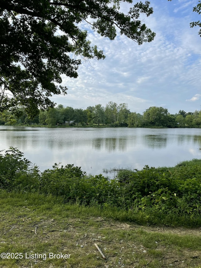 1613 E Crystal Dr, La Grange, KY 40031 - water view
