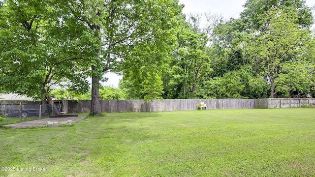 4011 Crawford Ave, Louisville, KY 40218 - view of yard