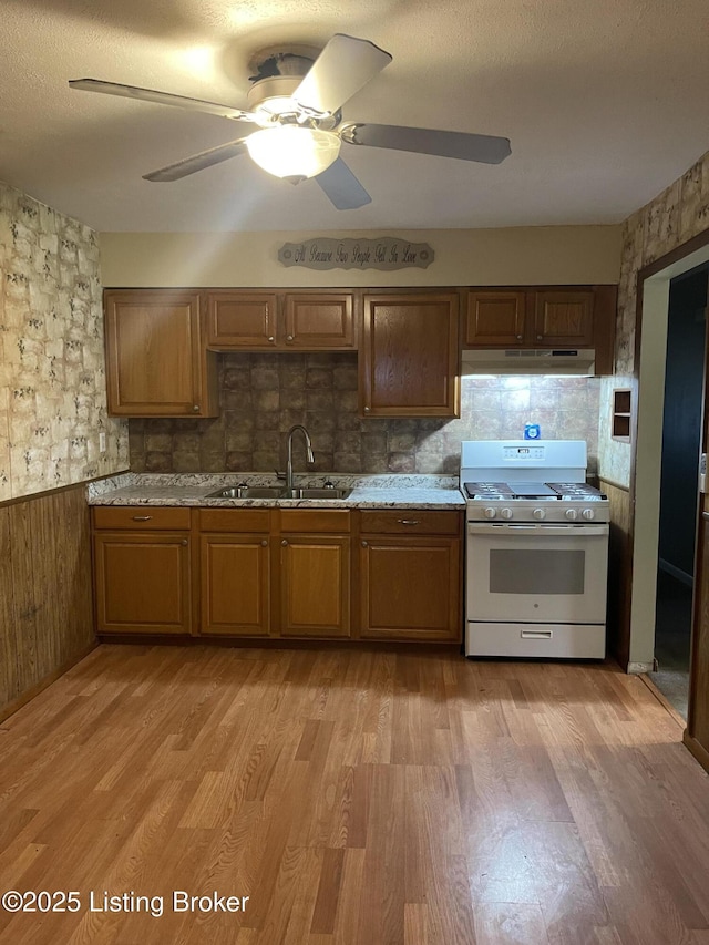 1310 Lacona Ln, Louisville, KY 40213 - kitchen featuring white gas stove, a sink, under cabinet range hood, light wood finished floors, and wainscoting