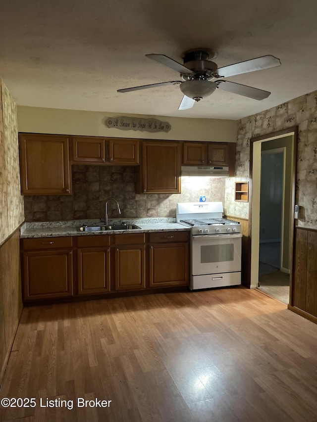 1310 Lacona Ln, Louisville, KY 40213 - kitchen with white range with gas stovetop, a sink, under cabinet range hood, light wood-style flooring, and a ceiling fan