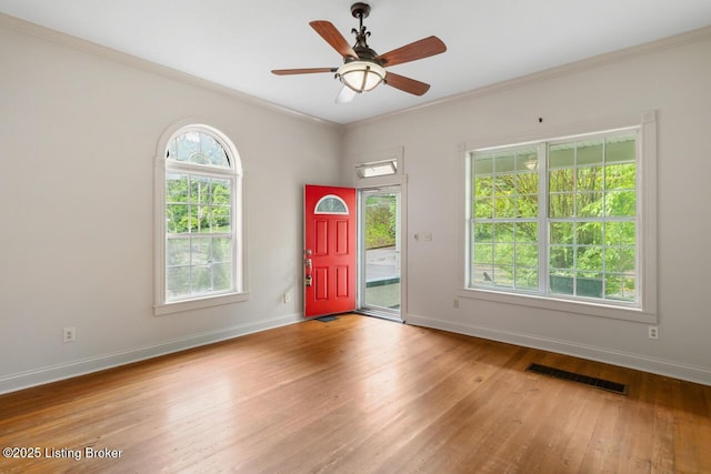 1867 Brownsboro Rd, Louisville, KY 40206 - photo 7