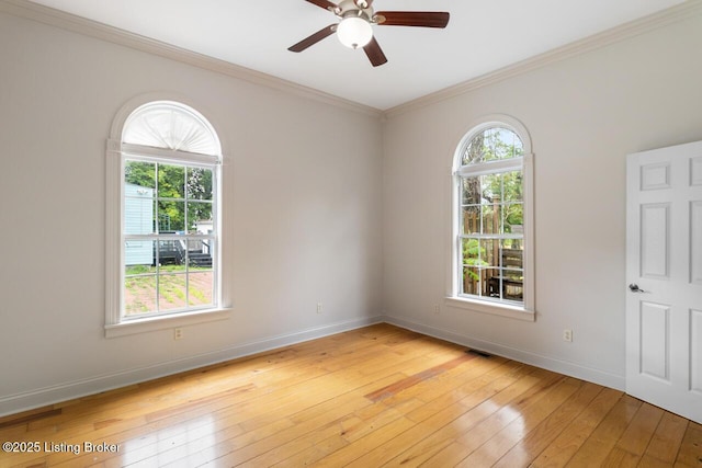 1867 Brownsboro Rd, Louisville, KY 40206 - photo 16