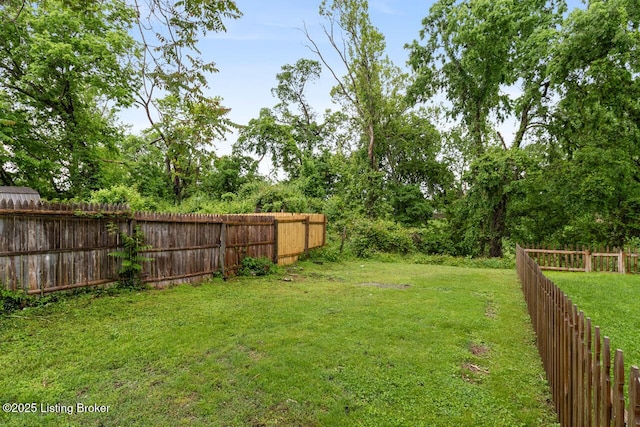 1867 Brownsboro Rd, Louisville, KY 40206 - photo 27