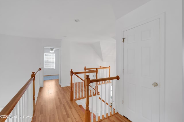 7911 Windgate Dr, Louisville, KY 40291 - hallway with an upstairs landing, light wood-style flooring, and baseboards