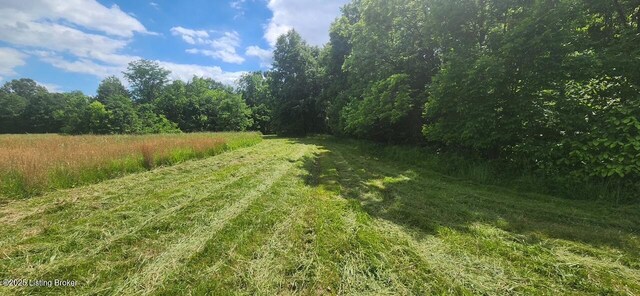 2010 Beech Grove Rd, Shepherdsville, KY 40165 - photo 52