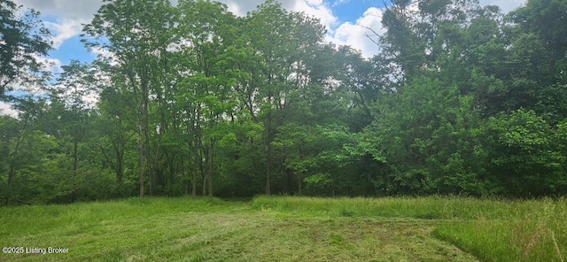 2010 Beech Grove Rd, Shepherdsville, KY 40165 - photo 53