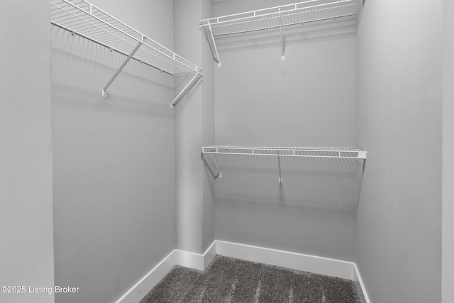 182 Washington Commons Dr, Mt Washington, KY 40047 - spacious closet featuring carpet flooring