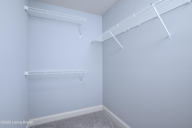 14341 Halden Ridge Way, Louisville, KY 40245 - walk in closet featuring carpet flooring