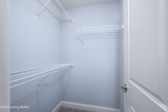 14341 Halden Ridge Way, Louisville, KY 40245 - view of walk in closet