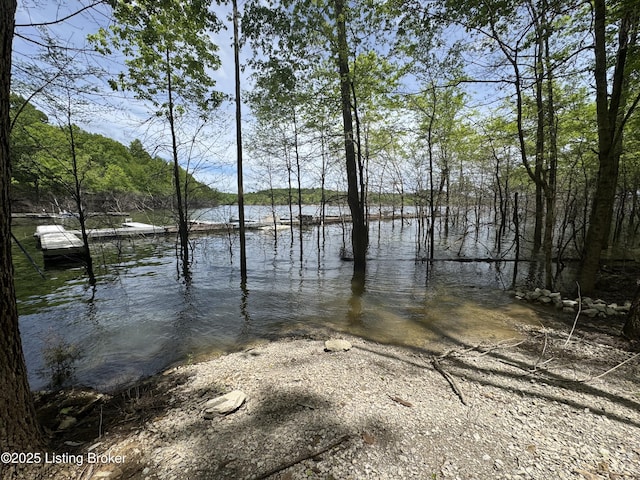207 Ironwood Dr, Bee Spring, KY 42207 - water view