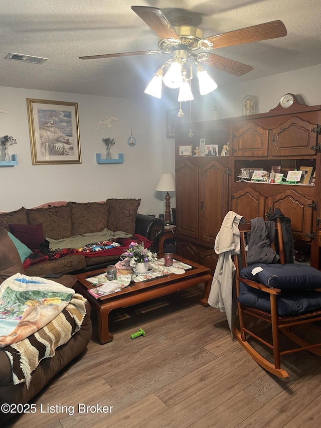100 Monroe St, Radcliff, KY 40160 - living room with ceiling fan, light wood-style flooring, and a textured ceiling