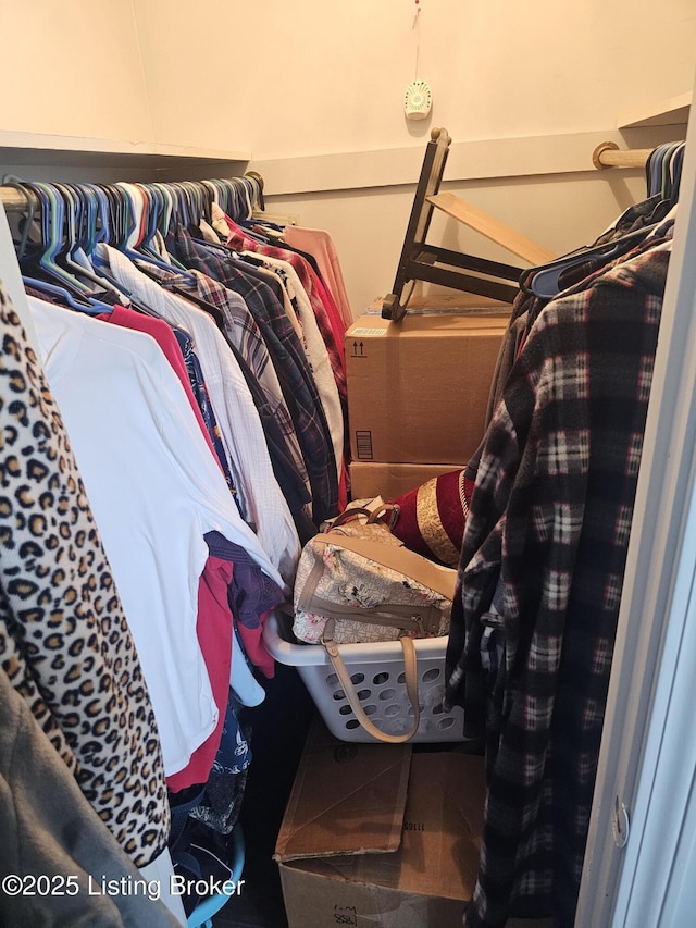100 Monroe St, Radcliff, KY 40160 - view of spacious closet