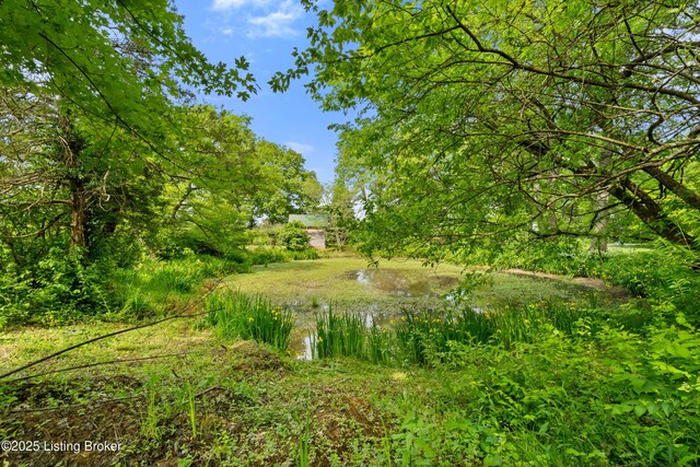 3304 S Camden Ln, Crestwood, KY 40014 - view of local wilderness