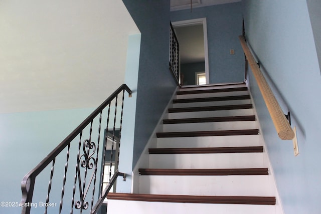 2227 Bradford Dr, Louisville, KY 40218 - photo 14