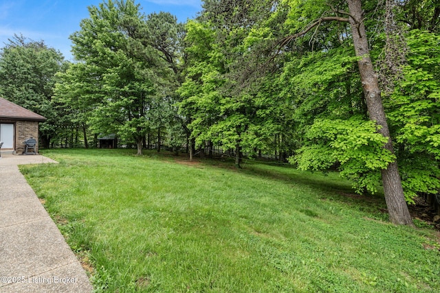1093 W Bryan Rd, Elizabethtown, KY 42701 - view of green lawn