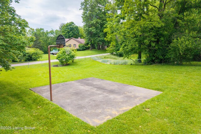 7003 Red Plum Ter, Pewee Valley, KY 40056 - view of yard with basketball court