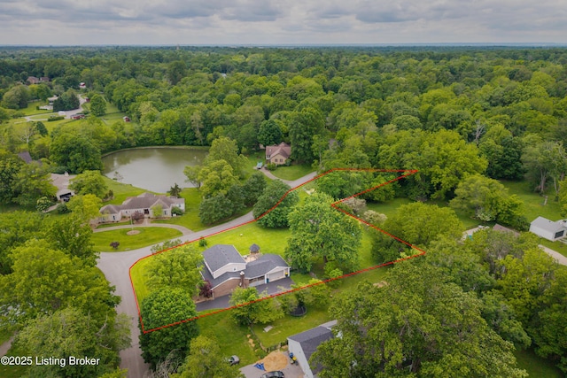 7003 Red Plum Ter, Pewee Valley, KY 40056 - view of property location with property parcel outlined, a heavily wooded area, and a large body of water