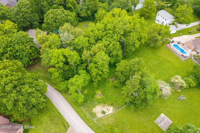 7003 Red Plum Ter, Pewee Valley, KY 40056 - drone / aerial view of a pool area