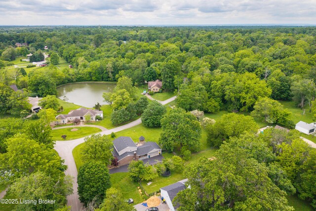 7003 Red Plum Ter, Pewee Valley, KY 40056 - aerial view of a forest and a large body of water