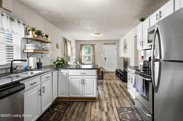 1136 Euclid Ave, Louisville, KY 40208 - kitchen with appliances with stainless steel finishes, a sink, a peninsula, open shelves, and dark wood finished floors