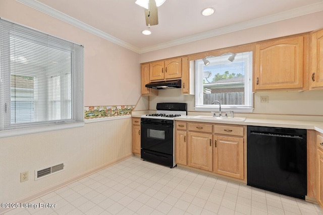 3531 Graham Rd, Louisville, KY 40207 - kitchen with black appliances, under cabinet range hood, light brown cabinets, wainscoting, and healthy amount of natural light