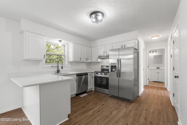 228 Schlaefer Way, Rineyville, KY 40162 - kitchen featuring stainless steel appliances, a sink, dark wood-type flooring, white cabinetry, and a peninsula