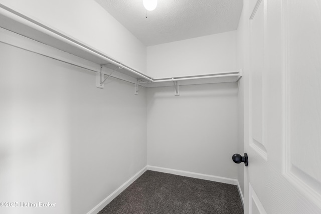 228 Schlaefer Way, Rineyville, KY 40162 - spacious closet with carpet