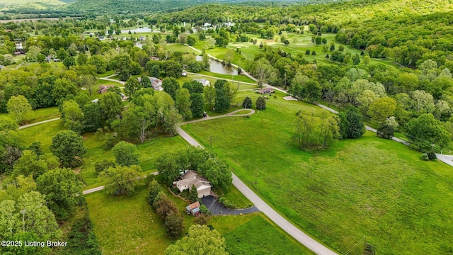 bird's eye view of a forest and a large body of water