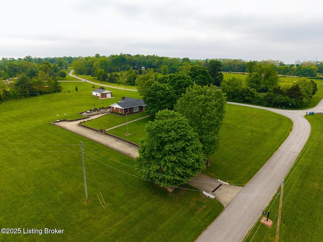 1160 Buck Knobs Rd, Ekron, KY 40117 - bird's eye view