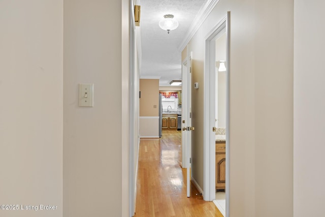 1160 Buck Knobs Rd, Ekron, KY 40117 - corridor featuring ornamental molding, light wood finished floors, and a sink