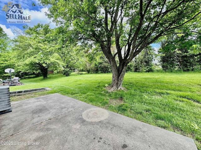 105 Rizer Ave, Springfield, KY 40069 - view of grassy yard with a patio area and central AC unit