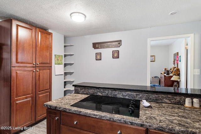 271 Carters St, New Castle, KY 40050 - kitchen featuring black electric stovetop, light wood-type flooring, and a textured ceiling