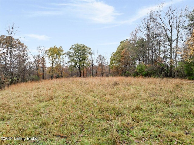 275 Cardinal Rd, Shepherdsville, KY 40165 - photo 77