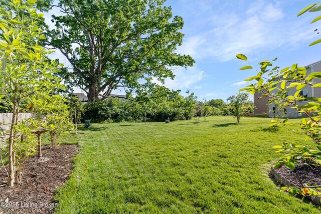 209 Ardmore Crossing Dr, Shelbyville, KY 40065 - photo 39