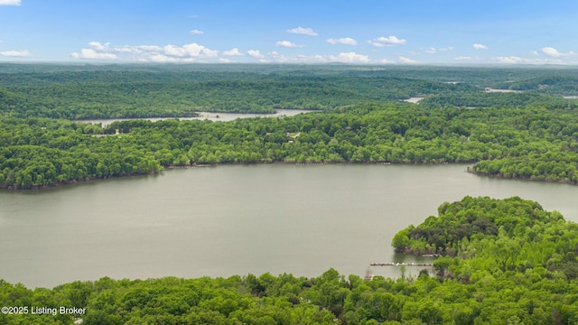 314 Nolin Estates Rd, Clarkson, KY 42726 - bird's eye view of a heavily wooded area and a nearby body of water