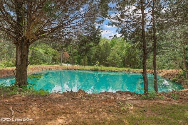 314 Nolin Estates Rd, Clarkson, KY 42726 - view of swimming pool